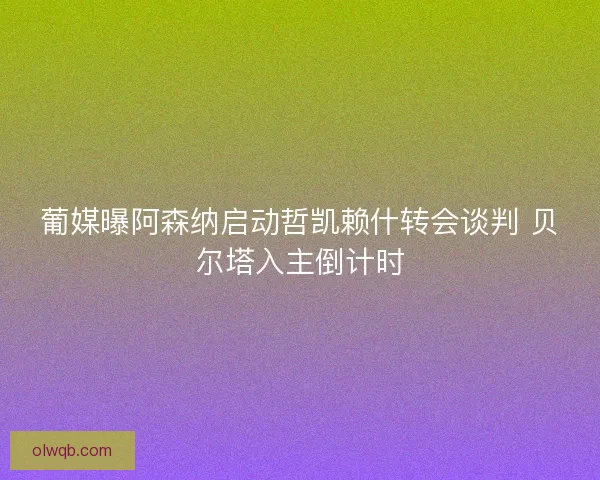葡媒曝阿森纳启动哲凯赖什转会谈判 贝尔塔入主倒计时