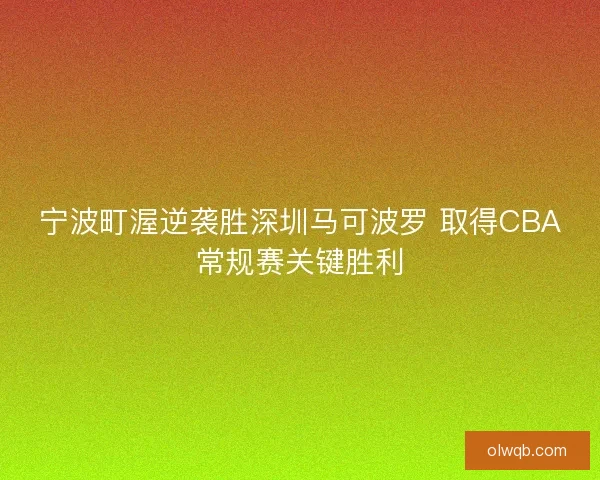 宁波町渥逆袭胜深圳马可波罗 取得CBA常规赛关键胜利