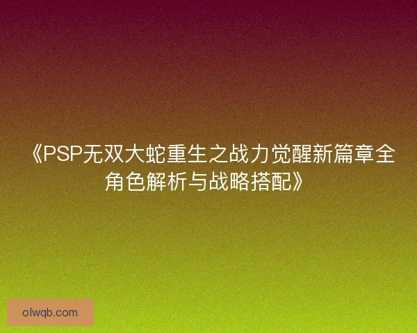 《PSP无双大蛇重生之战力觉醒新篇章全角色解析与战略搭配》