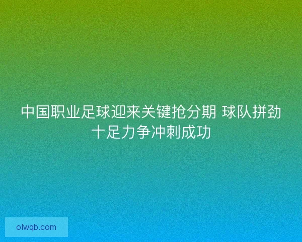 中国职业足球迎来关键抢分期 球队拼劲十足力争冲刺成功